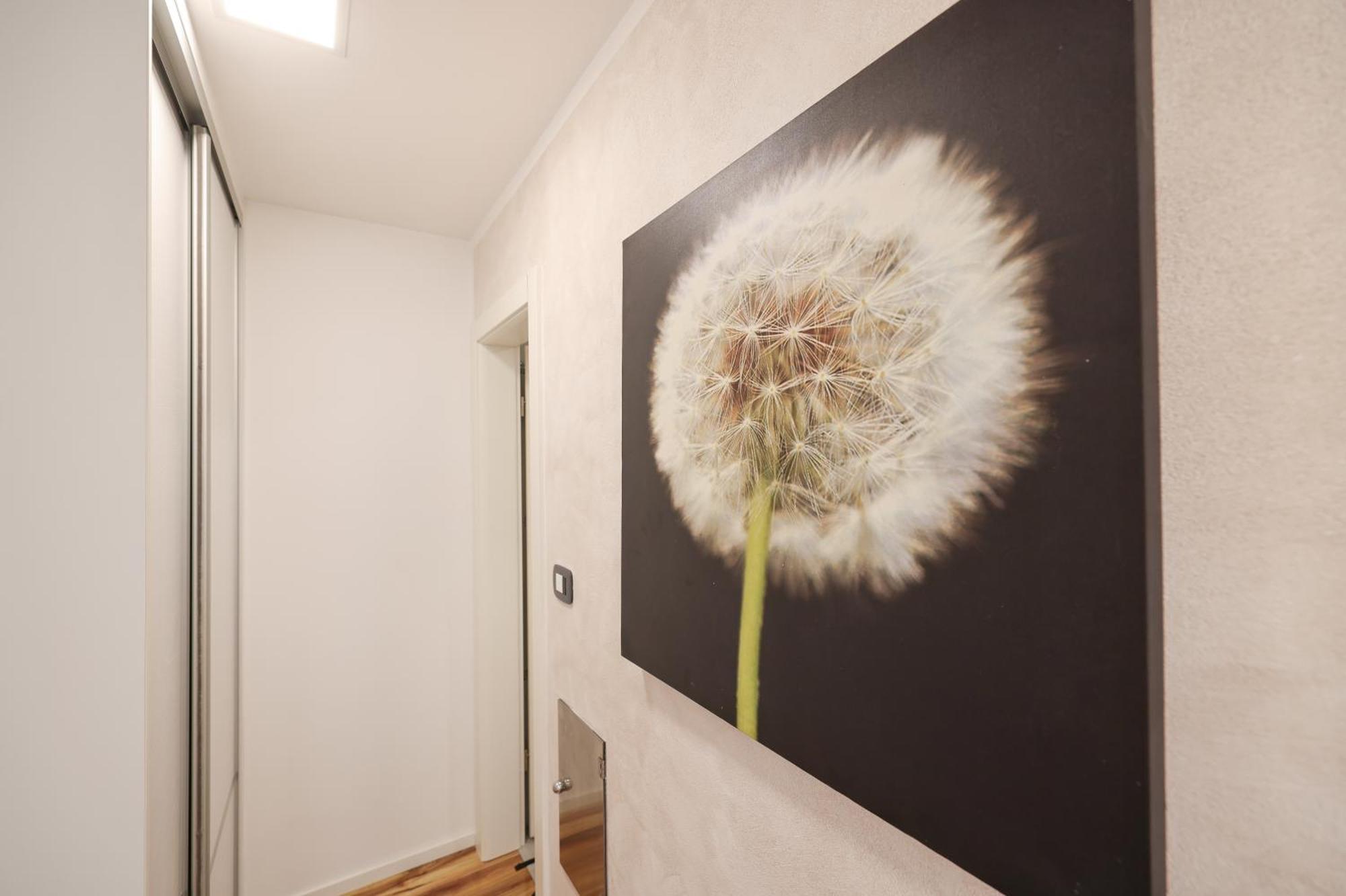 Apartment Anita Zadar Extérieur photo